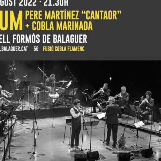 Llum, espectacle del "cantaor" Pere Martínez amb la Cobla Marinada