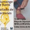 Sardanes a Mollerussa per la festivitat del Diumenge de Rams